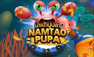 โลโก้เกม NAMTAOPUPA
