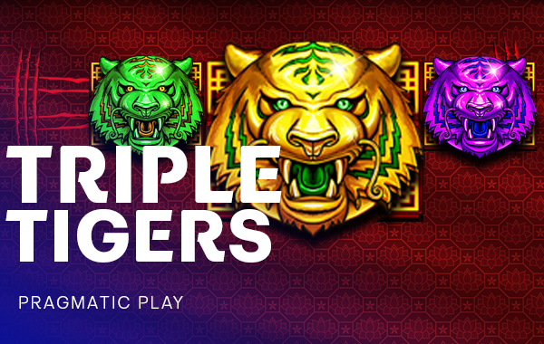 รูปเกม Triple Tigers - เสือสามตัว