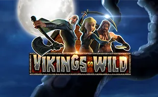 รูปเกม Vikings go Wild - ไวกิ้งไปป่า