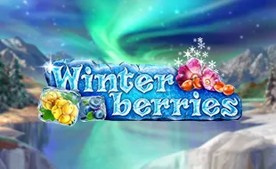 รูปเกม Winterberries - วินเทอร์เบอร์รี่