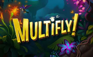 รูปเกม Multifly! - มัลติฟลาย