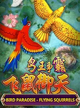 โลโก้เกม Bird Paradise - ดินแดนของนก