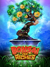 โลโก้เกม Bonsai of Riches - บอนไซแห่งความร่ำรวย