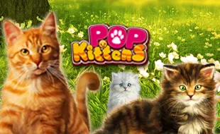 รูปเกม Pop Kittens - ป็อป คิทเท่น