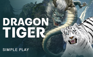 โลโก้เกม Dragon & Tiger