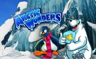 รูปเกม Arctic Wonders - สิ่งมหัศจรรย์แห่งอาร์กติก