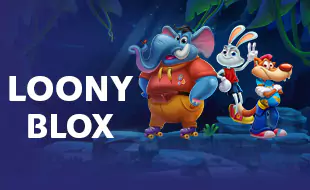 รูปเกม Loony Blox - Loony Blox