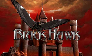 รูปเกม Black Hawk - เหยี่ยวดำ