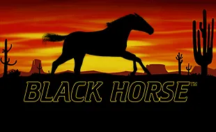 รูปเกม Black Horse - ม้าดำ