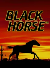 โลโก้เกม Black Horse - ม้าดำ