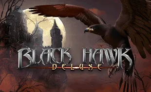 รูปเกม Black Hawk Deluxe - แบล็คฮอว์ค ดีลักซ์