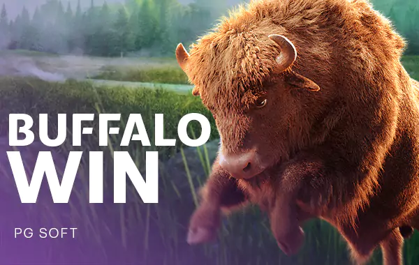 โลโก้เกม Buffalo Win - ควายชนะ