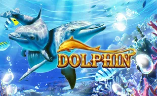 รูปเกม Dolphin OP - ปลาโลมา