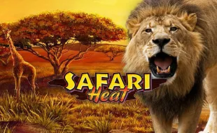 รูปเกม Safari Heat - ซาฟารีฮีท