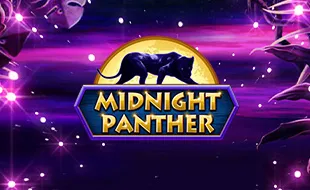 รูปเกม Midnight Panther - เสือดำ