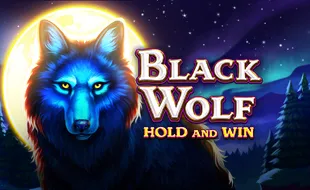 รูปเกม Black Wolf - หมาป่าสีดำ