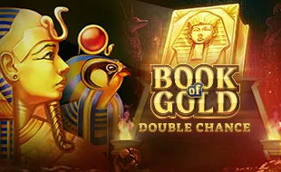 รูปเกม Book of Gold: Double Chance - หนังสือทองคำ