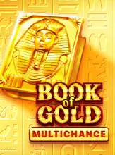 โลโก้เกม Book of Gold: Multichance - หนังสือทองคำ