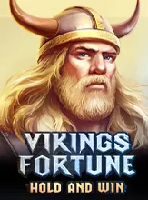 โลโก้เกม Vikings Fortune: Hold and Win - ไวกิ้งนำโชค