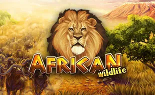 รูปเกม AfricanWildlife - สัตว์ป่าแอฟริกัน