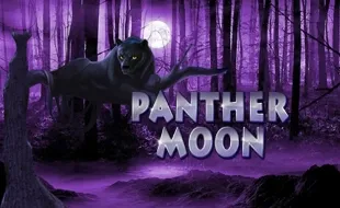 รูปเกม Panthermoon - ค่ำคืนเสือดำ