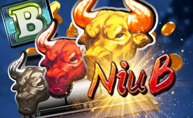 รูปเกม Niu B - นิว บี