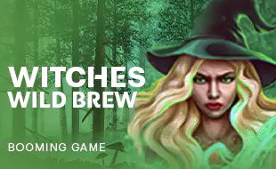 รูปเกม Witches Wild Brew - Witches Wild Brew