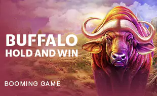 รูปเกม Buffalo Hold And Win - ควายถือและชนะ