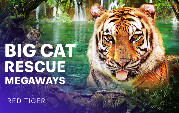 รูปเกม Big Cat Rescue Megaways - แมวใหญ่ช่วย Megaways