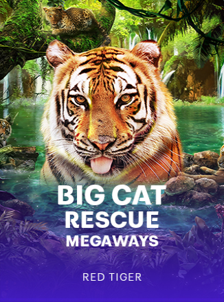 โลโก้เกม Big Cat Rescue Megaways - แมวใหญ่ช่วย Megaways