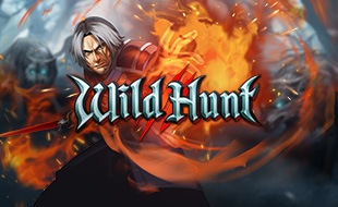 รูปเกม Wild hunt - การล่าสัตว์ป่า