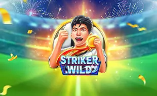 รูปเกม Striker WILD - กองหน้า WILD