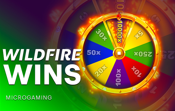 รูปเกม Wildfire Wins - ไฟป่าชนะ