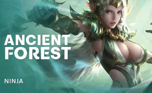 รูปเกม Ancient Forest