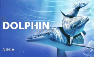 รูปเกม Dolphin - โอเชียนพาราไดซ์