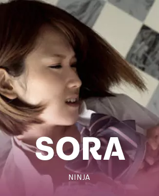 โลโก้เกม Sora - เอ็กซ์ 2