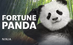 รูปเกม Fortune Panda - ฟอร์จูนแพนด้า