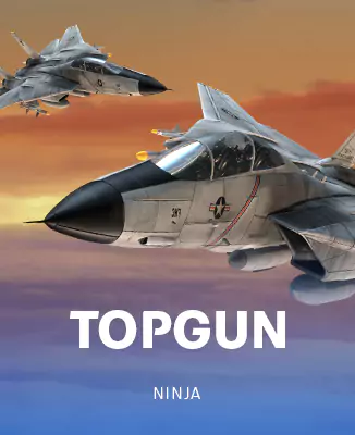 โลโก้เกม Top Gun - ท็อปกัน