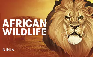 รูปเกม African Wildlife - สัตว์ป่าแอฟริกัน