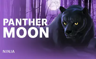 รูปเกม Panther Moon - ค่ำคืนเสือดำ