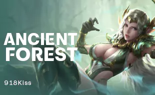 รูปเกม Ancient Forest - ตำนานป่าโบราณ