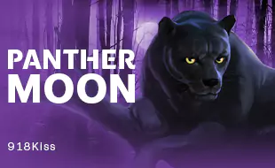 รูปเกม Panther Moon - ค่ำคืนเสือดำ