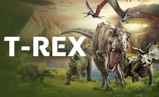 รูปเกม T-REX - ที-เร็กซ์