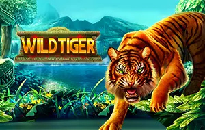 รูปเกม Wild Tiger - เสือป่า