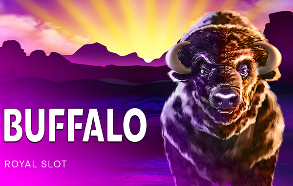 รูปเกม Buffalo - ควาย