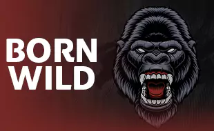 รูปเกม Born Wild - เกิดเป็นป่า