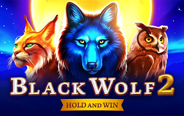 รูปเกม Black Wolf 2 - หมาป่าดำ 2