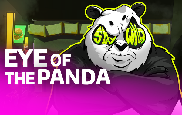 รูปเกม Eye of the Panda - ดวงตาของแพนด้า