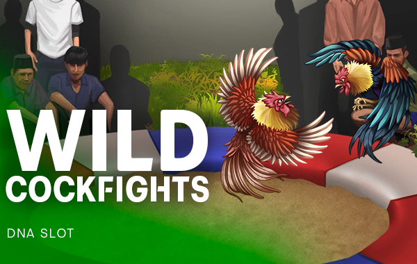 รูปเกม Wild Cockfights