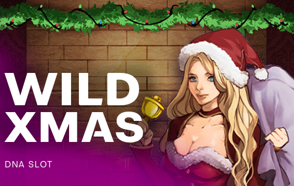 รูปเกม Wild Xmas
